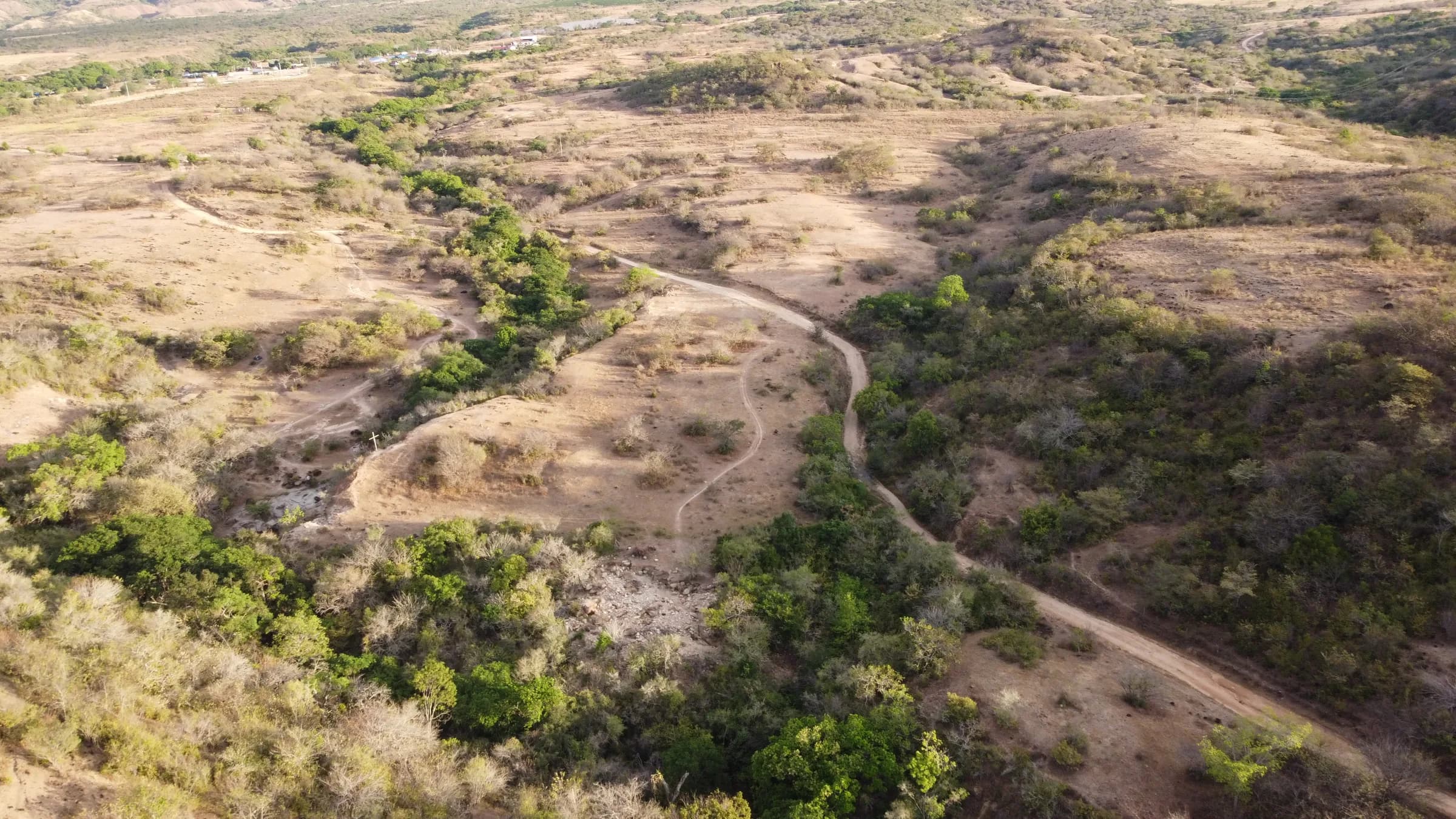 Vista aérea de un sendero de tierra entre la vegetación del entorno del predio.